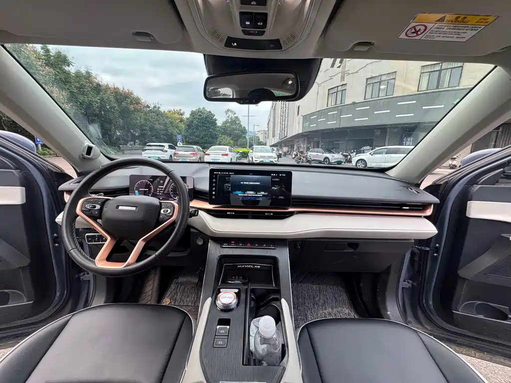 Haval H6 — миниатюра 10