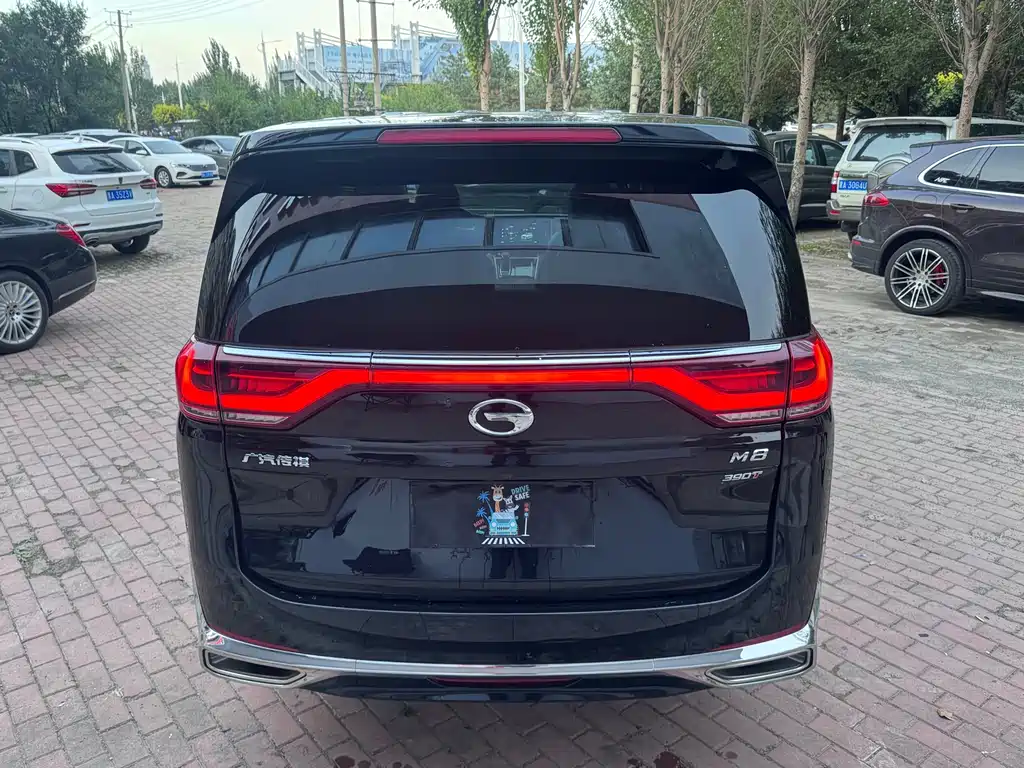 GAC Motor Trumpchi M8 — миниатюра 4