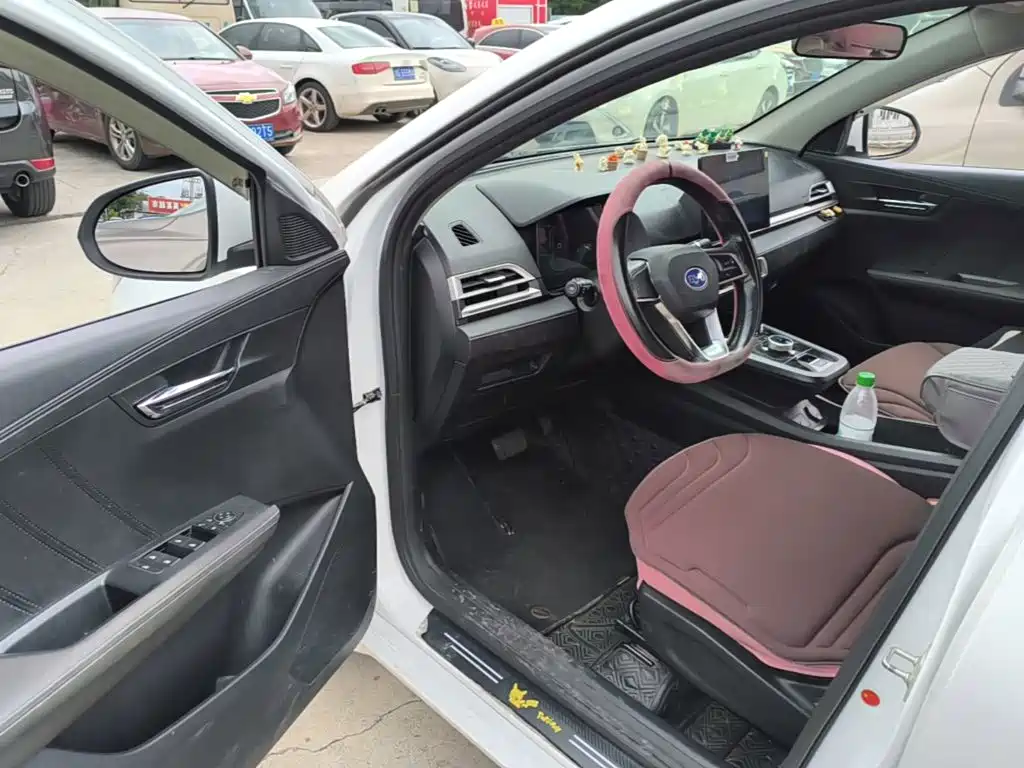 BYD e2 — миниатюра 16