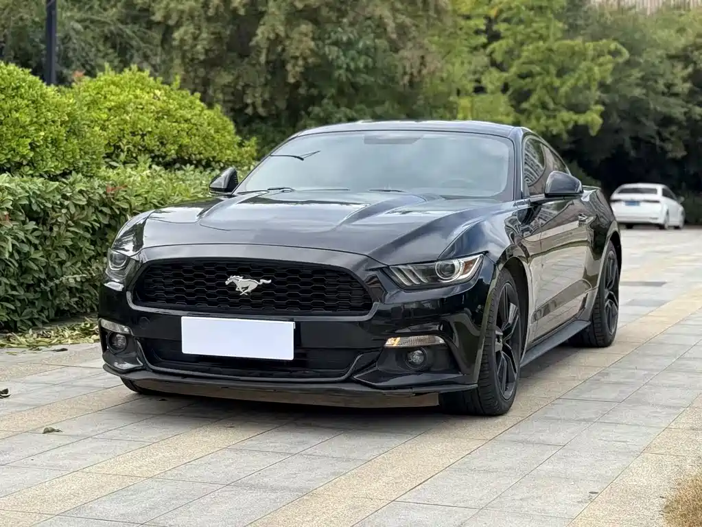 Ford Mustang — миниатюра 3