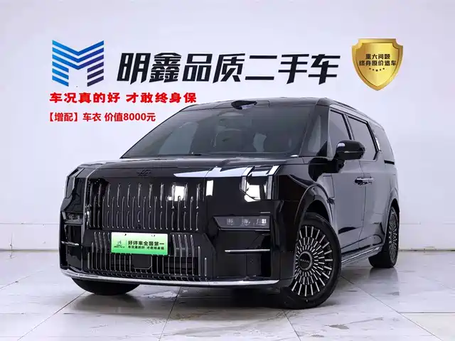 2025 Zeekr 009