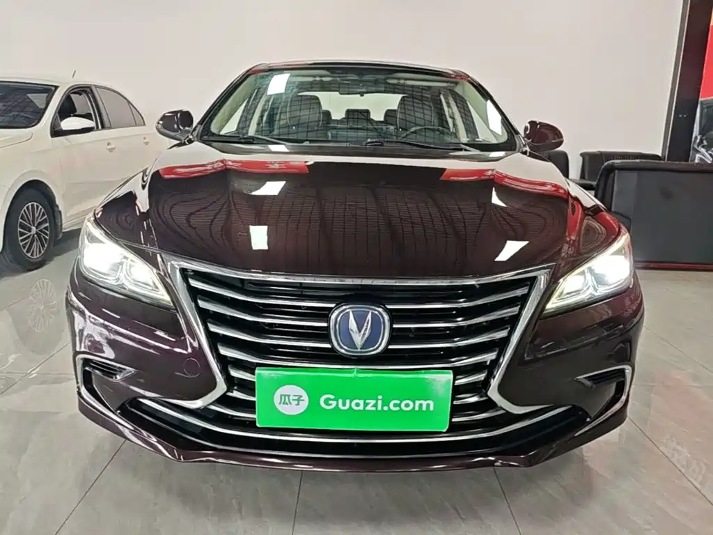 Changan Ruicheng CC — миниатюра 3