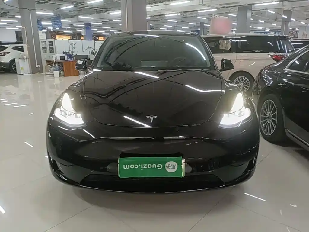 Tesla Model Y — миниатюра 3