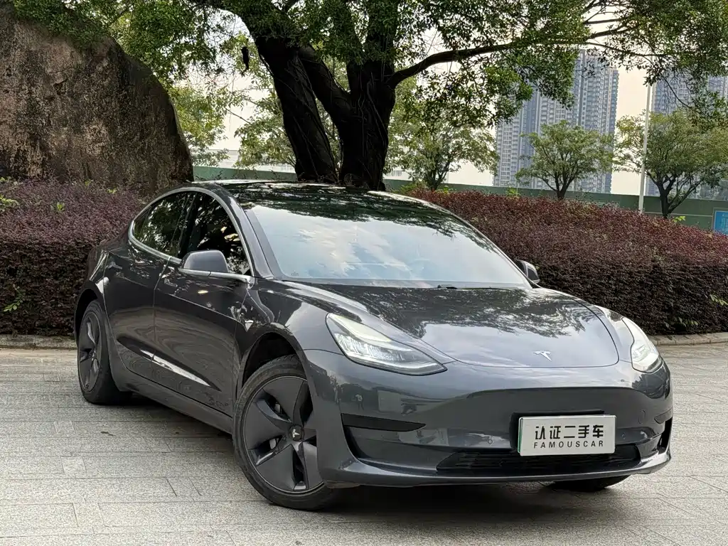 Tesla Model 3 — миниатюра 3