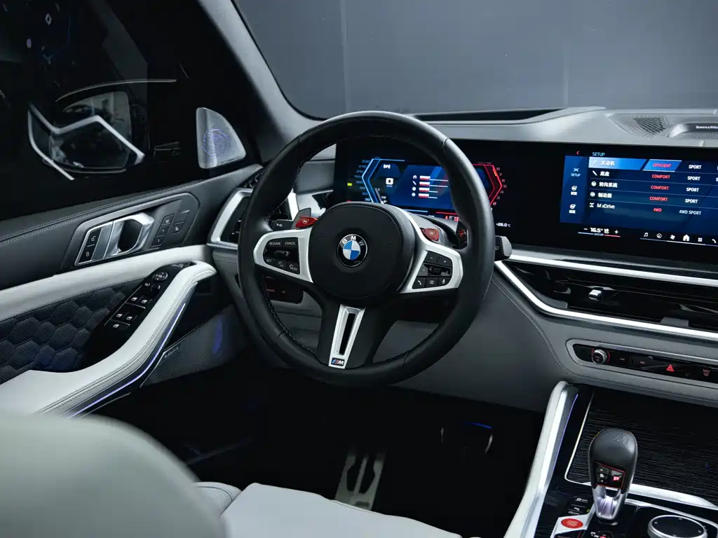 BMW X5 M — миниатюра 13