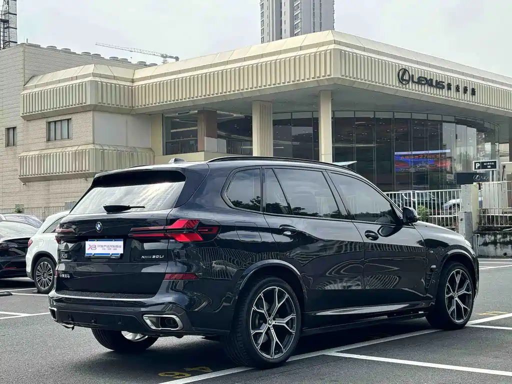 BMW X5 — миниатюра 9