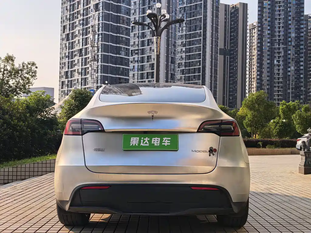 Tesla Model Y — миниатюра 6