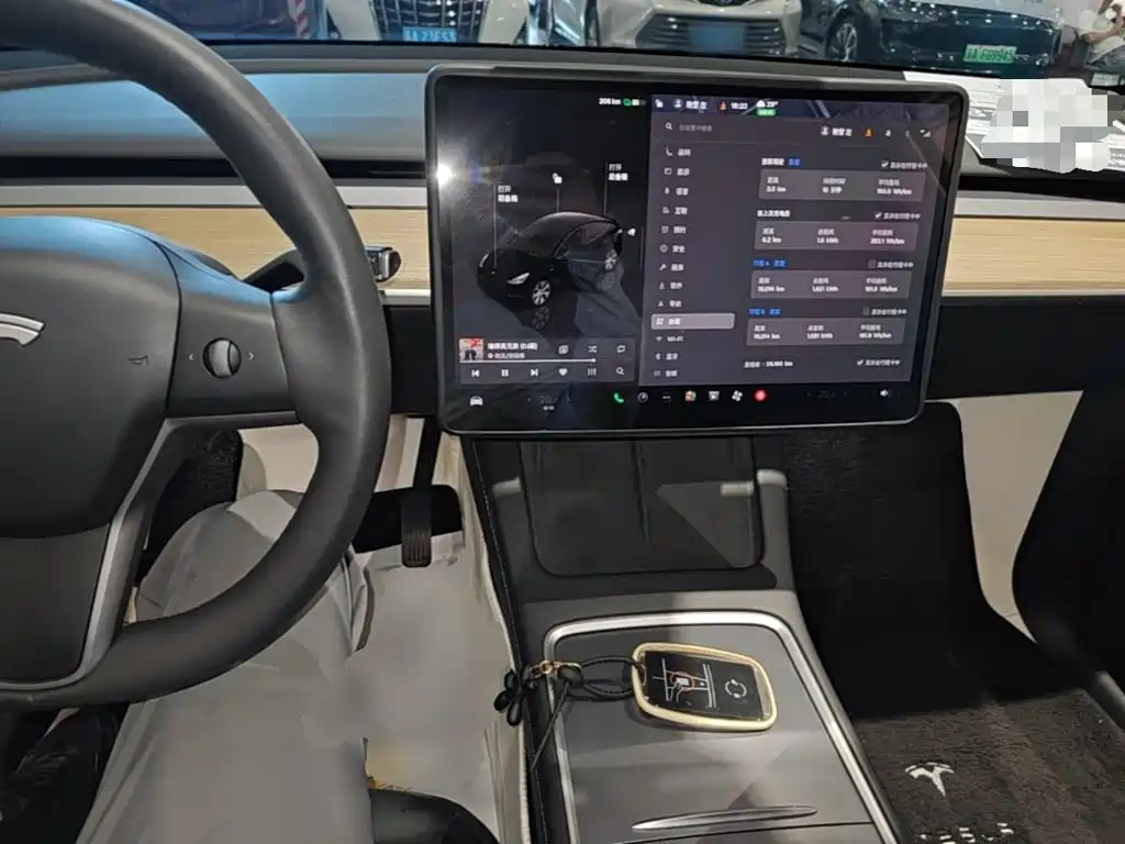 Tesla Model Y — миниатюра 10