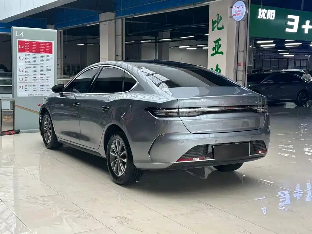 BYD Destroyer 05 2024 DM-i 55KM Luxury