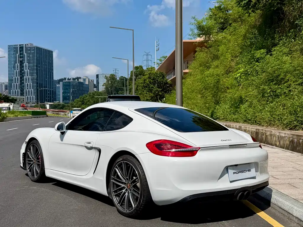 Porsche Cayman — миниатюра 5