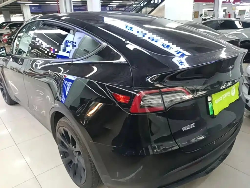 Tesla Model Y — миниатюра 5