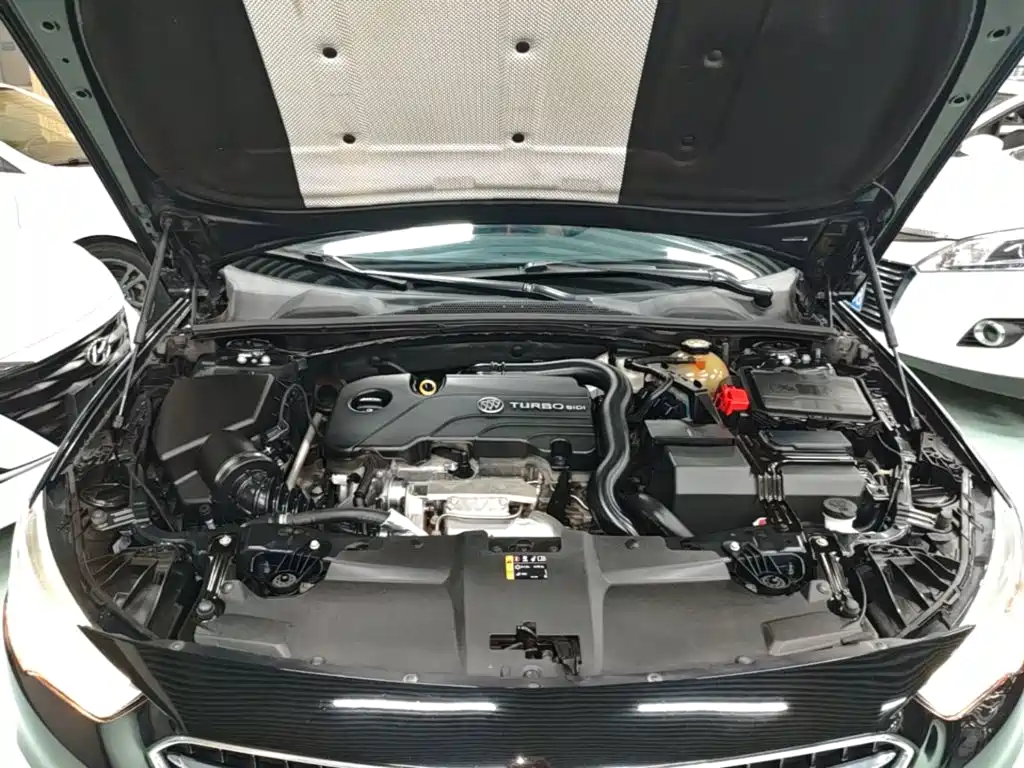 Buick Regal — миниатюра 20