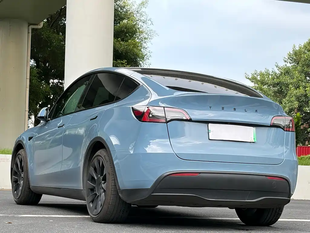 Tesla Model Y — миниатюра 11