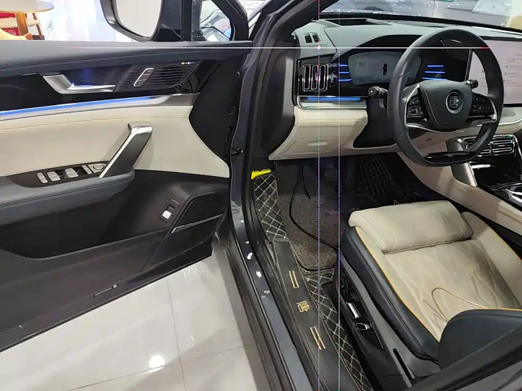 BYD Tang New Energy — миниатюра 16