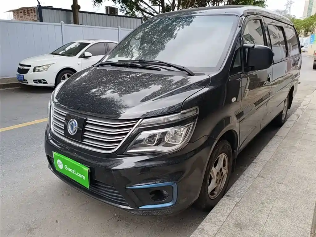 Fengxing Lingzhi New Energy 2020