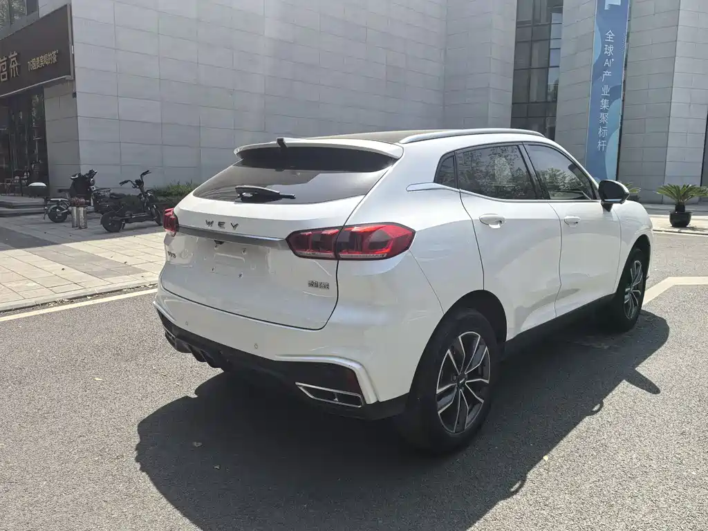 WEI PAI WEI BRAND VV5