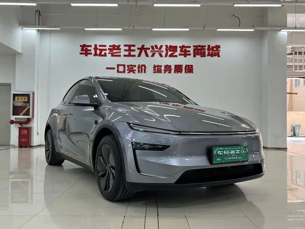 Tesla Model Y — миниатюра 3