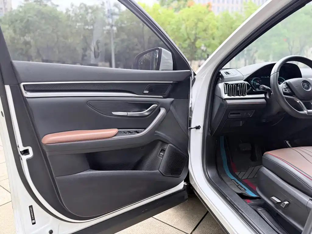 BYD PLUS — миниатюра 8