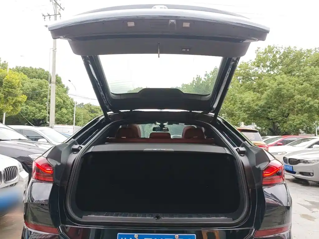 BMW X6 — миниатюра 19