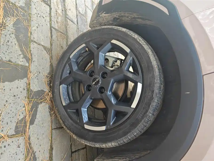 BYD Seagull 2025 305km Freedom