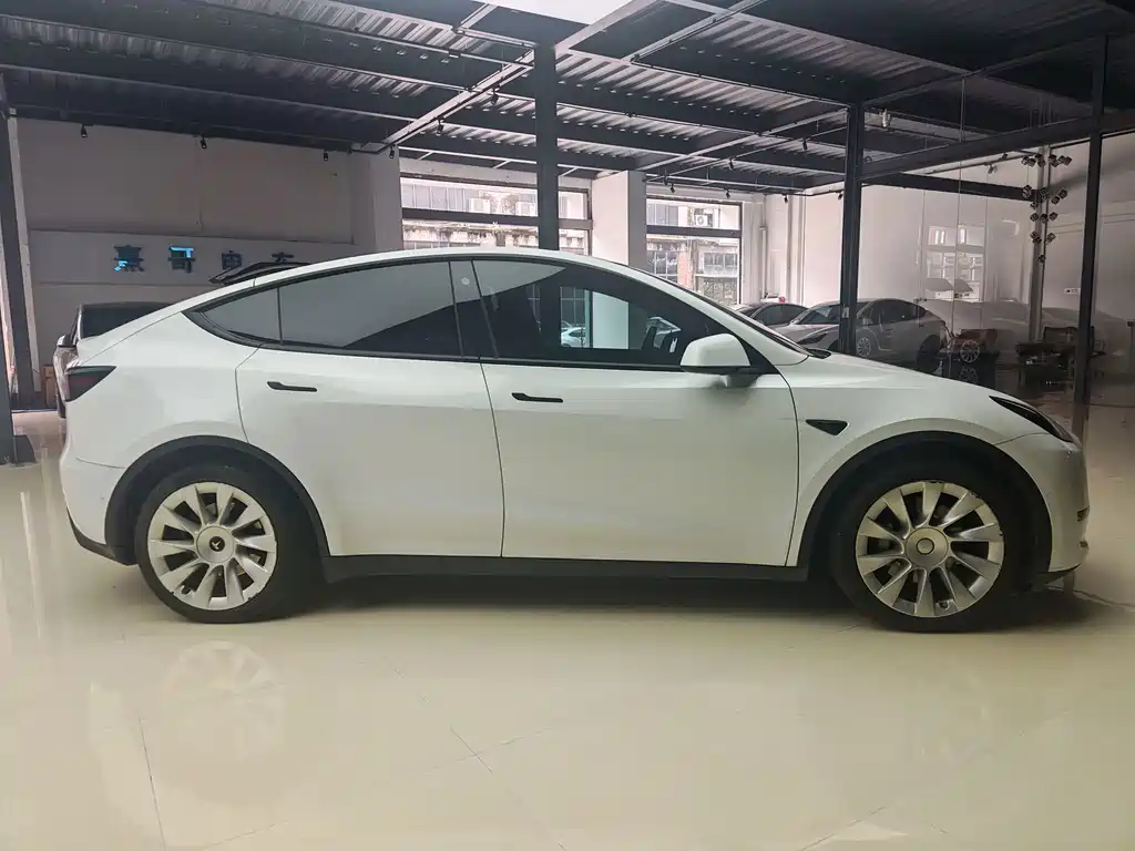 Tesla Model Y — миниатюра 4