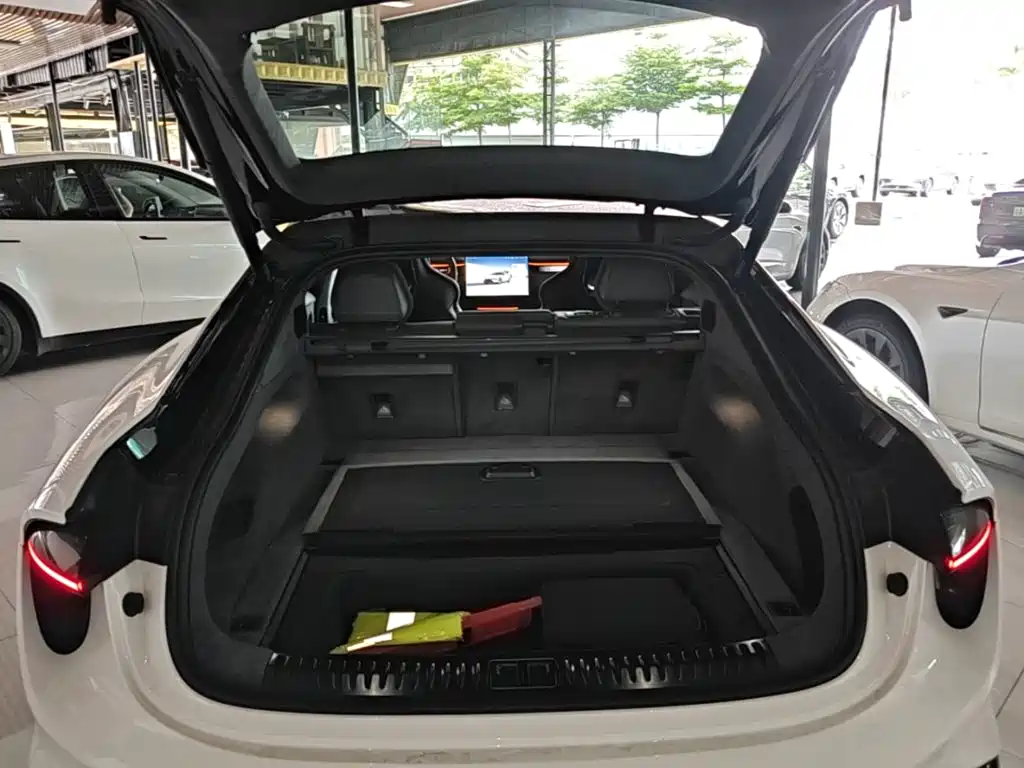 Lotus EMEYA — миниатюра 19