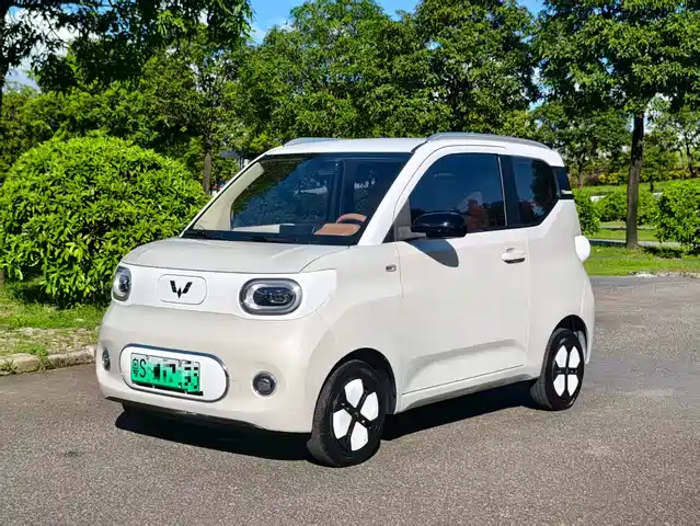 2024 Wuling Motors Hongguang