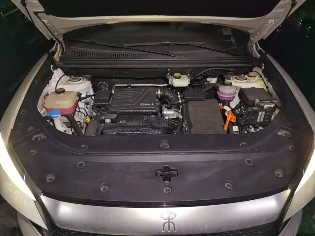 BYD Pro New Energy — миниатюра 16