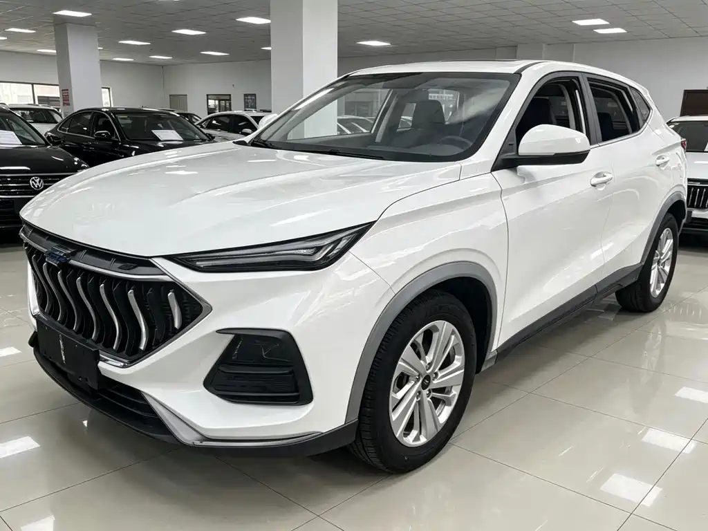 Oshan Oushang X5 2021