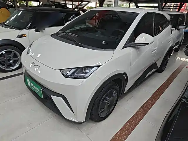 2024 BYD Seagull
