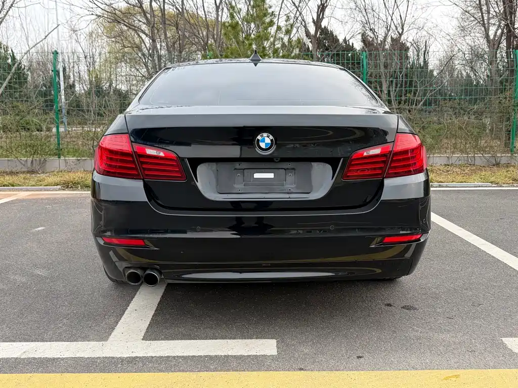 BMW 5 Series (Import) 520i Elegant Type, фото 10