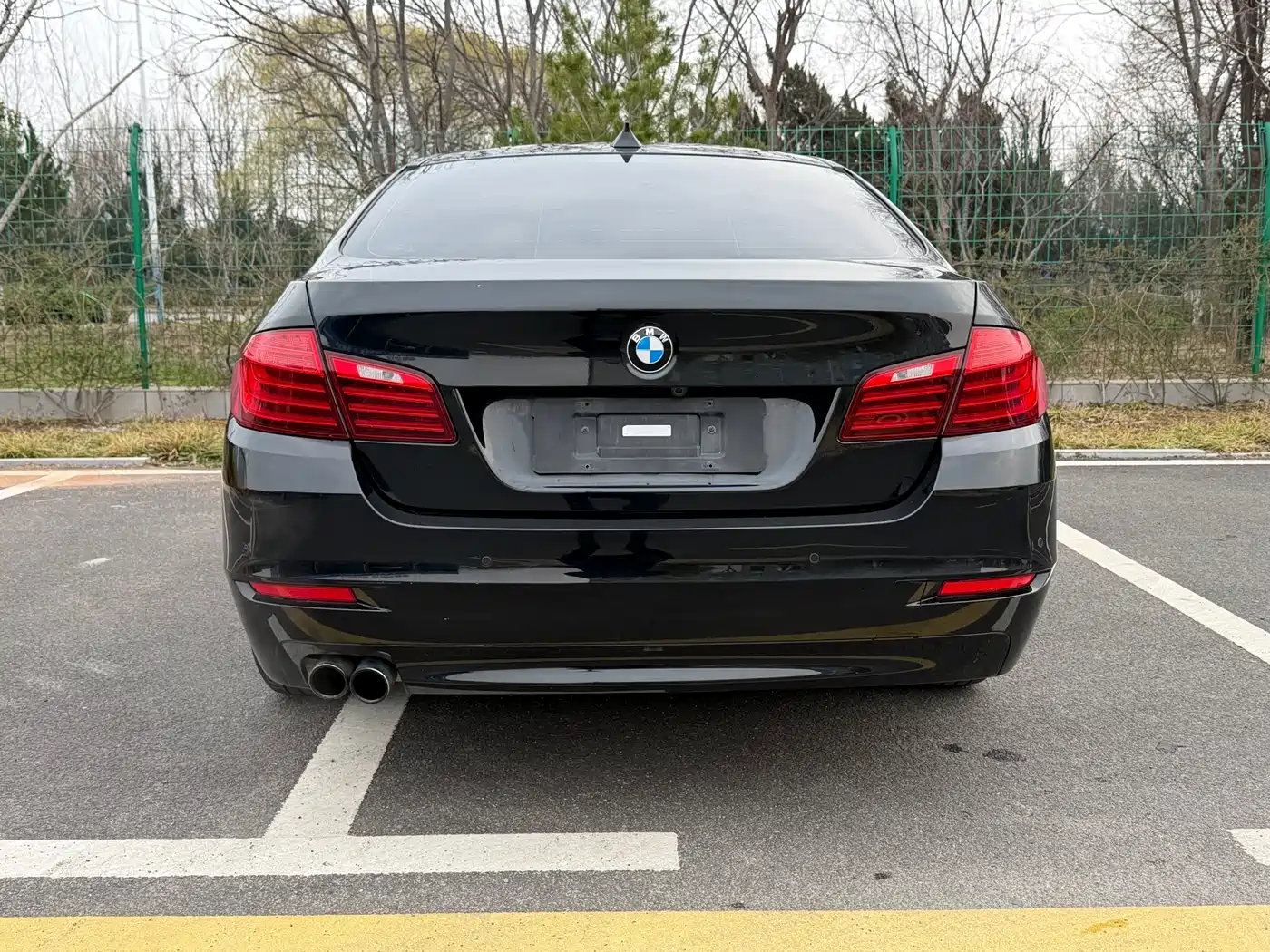 BMW 5 Series Import