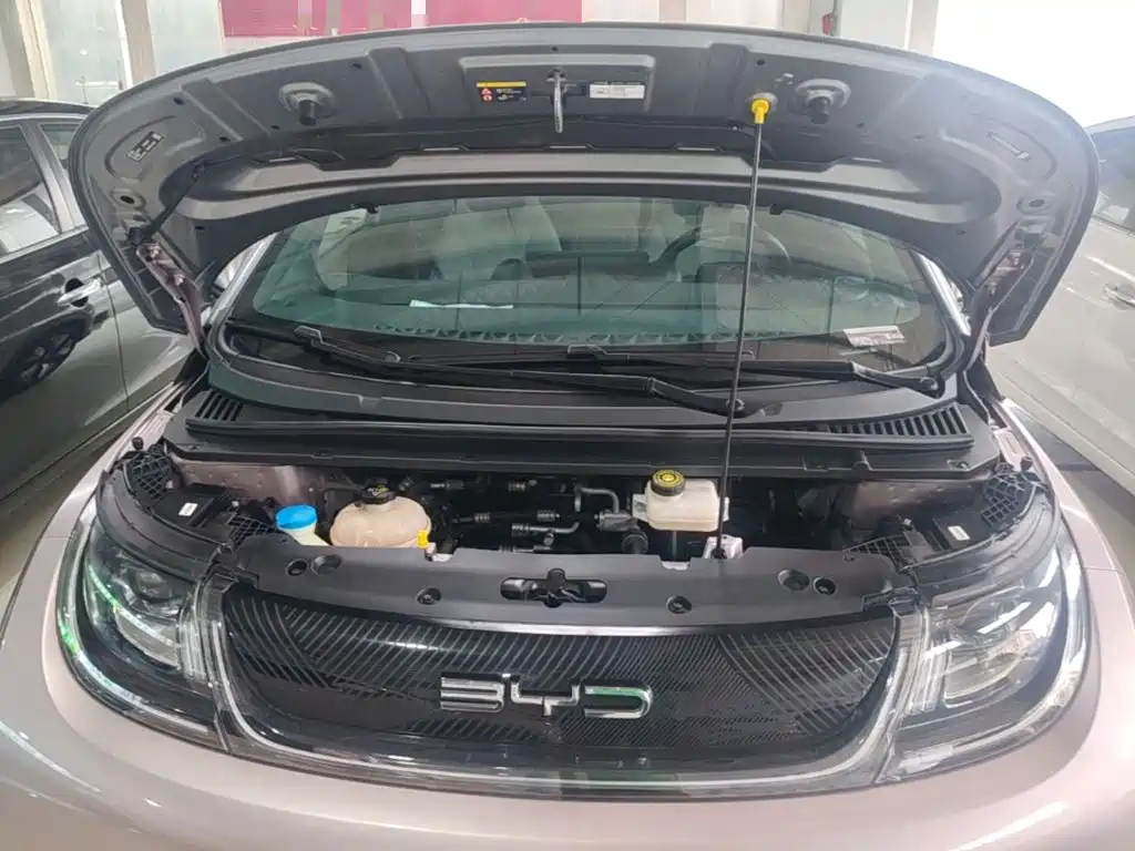 BYD Dolphin — миниатюра 20