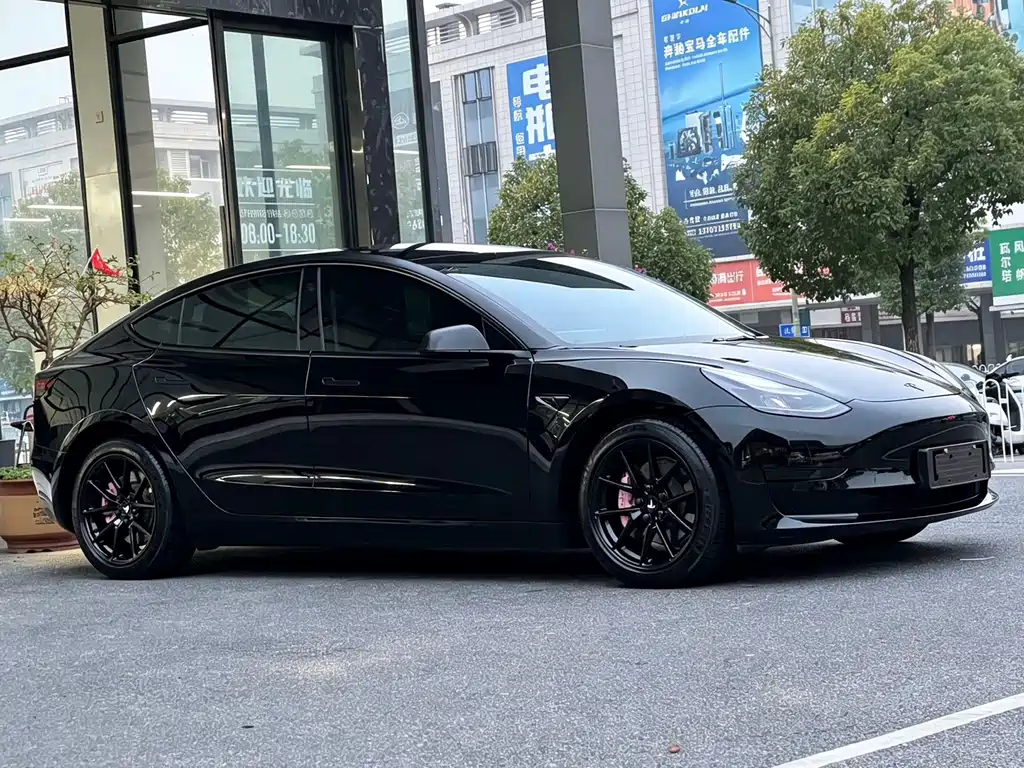Tesla Model 3 — миниатюра 3