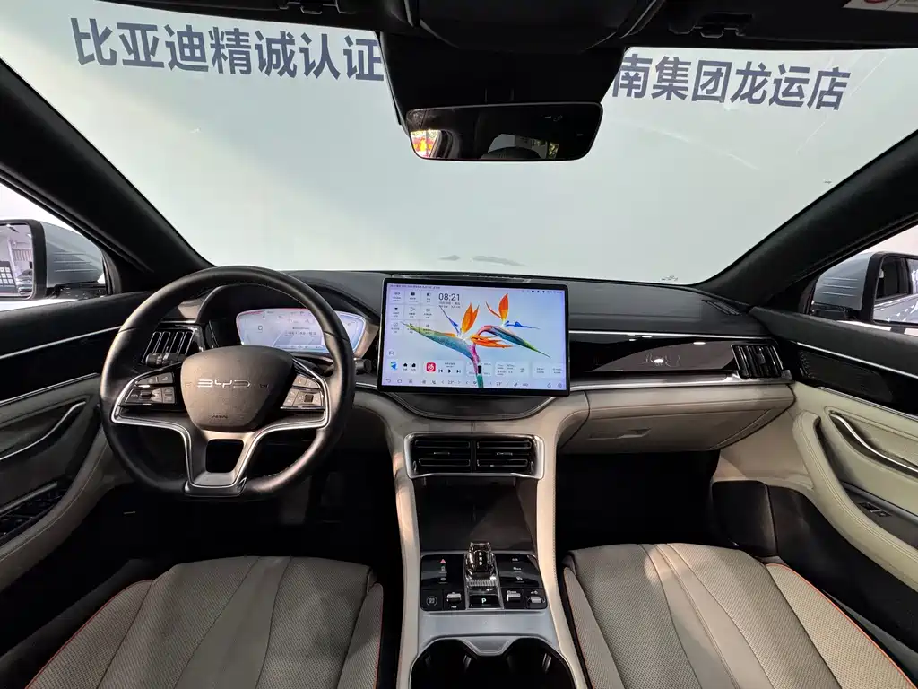 BYD PLUS New Energy — миниатюра 20