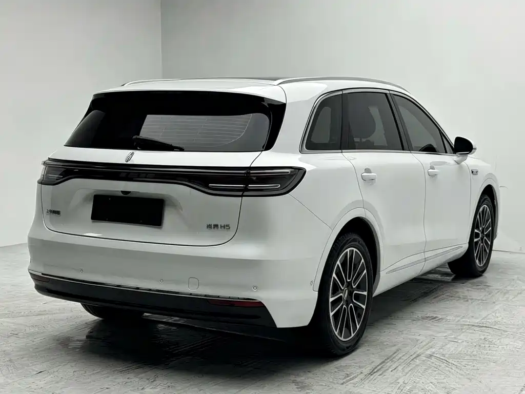 Shangjie Shangjie H5 — миниатюра 7