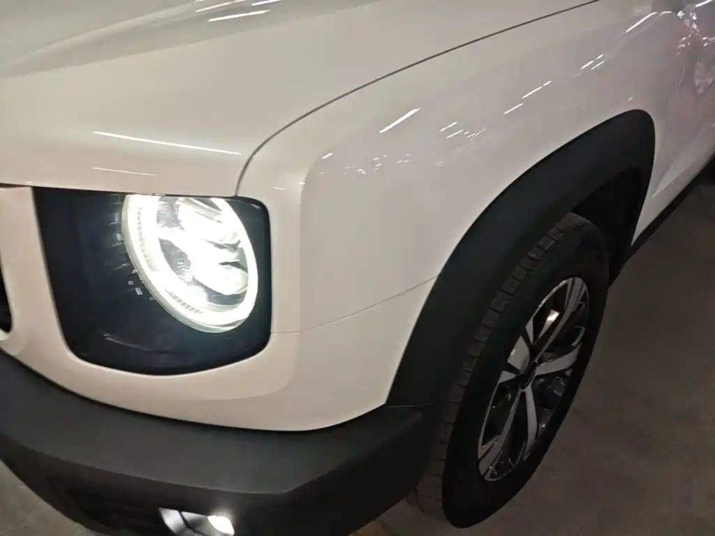 Haval Big Dog — миниатюра 24