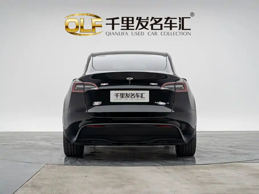 Tesla Model Y — миниатюра 5