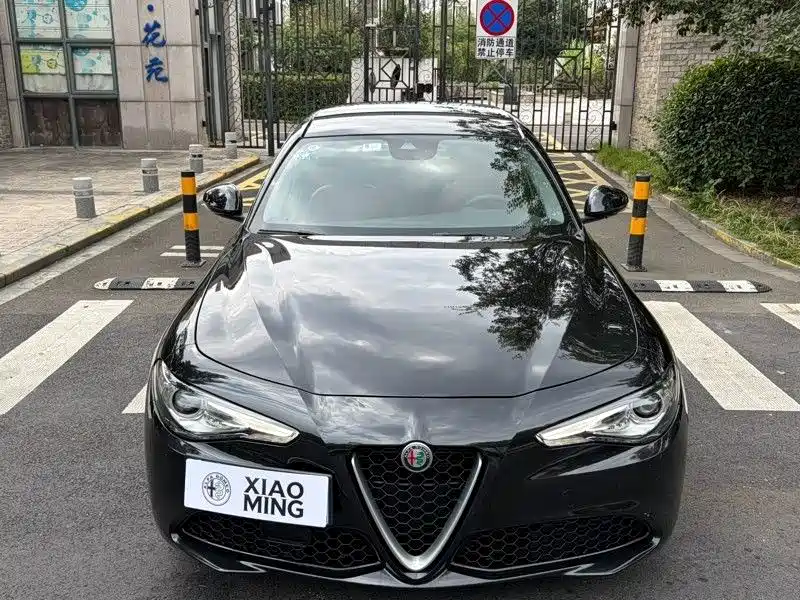 Alfa Romeo Giulia — миниатюра 2