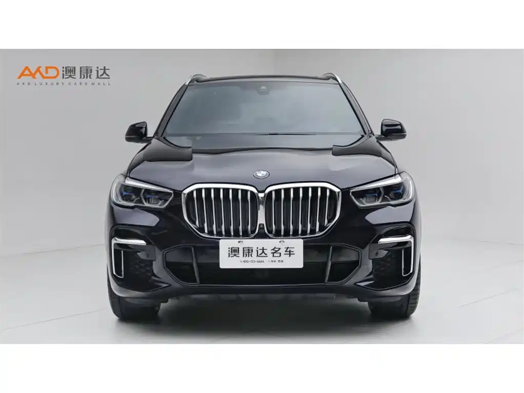 BMW X5 — миниатюра 2