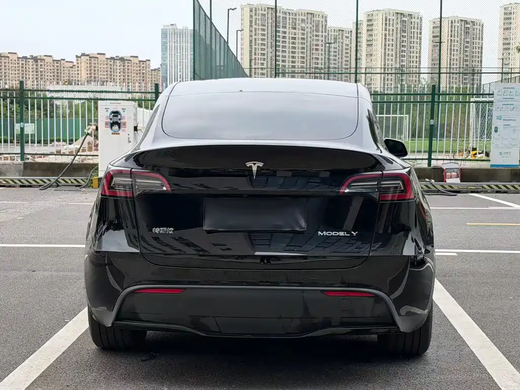 Tesla Model Y — миниатюра 5