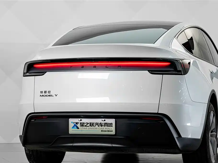 Tesla Model Y — миниатюра 8