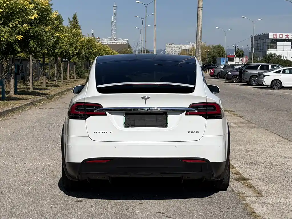 Tesla Model X — миниатюра 5