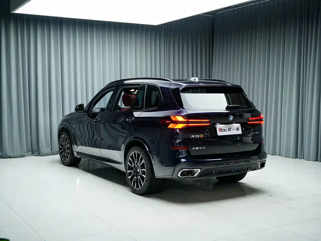 BMW X5 — миниатюра 10