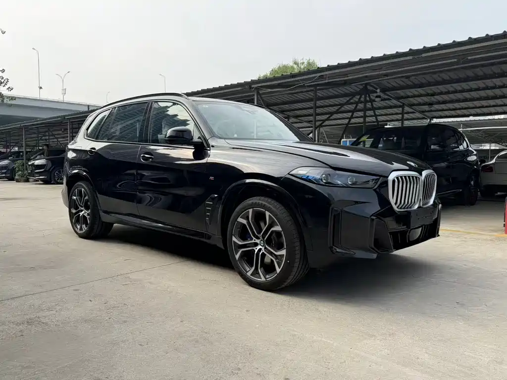 BMW X5 — миниатюра 3