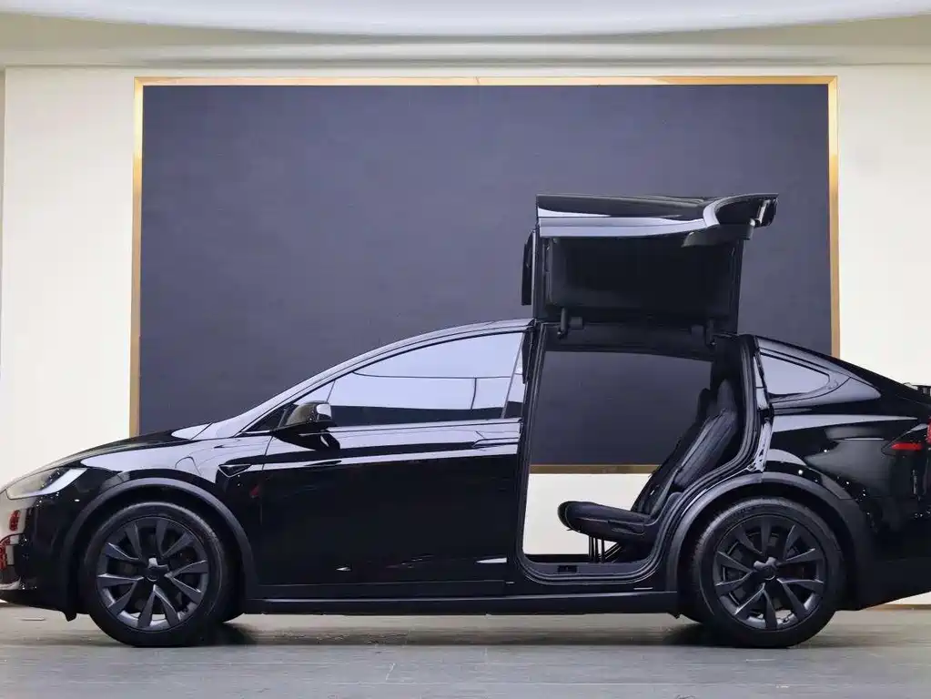 Tesla Model X — миниатюра 20