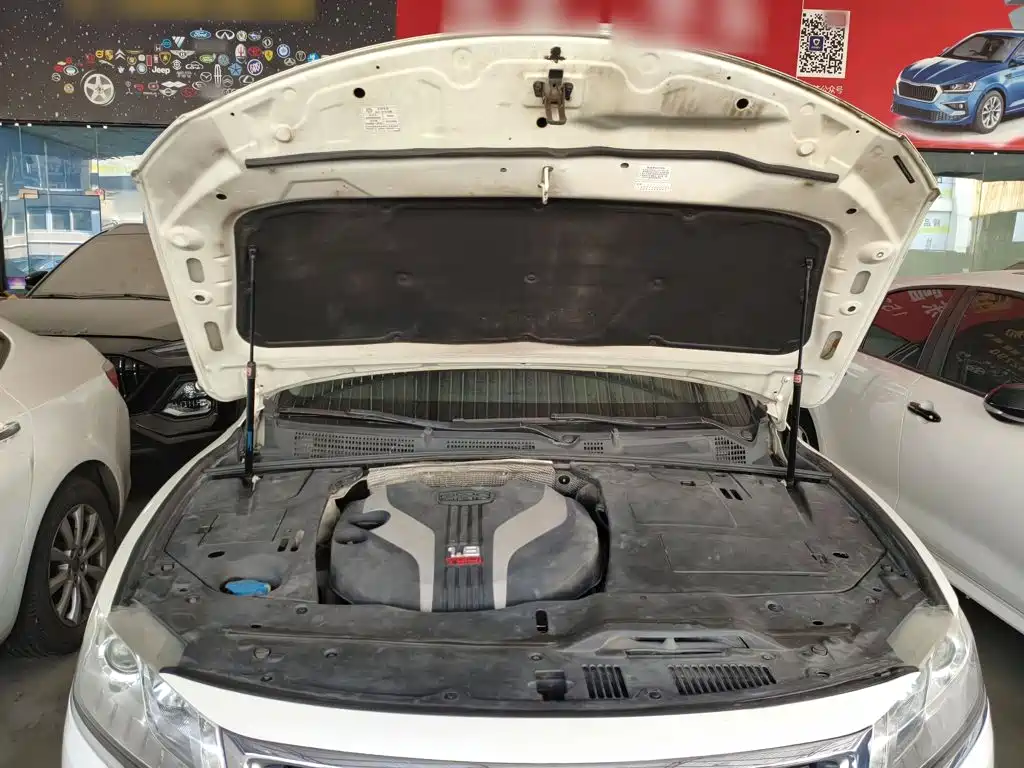 Geely Borui — миниатюра 20