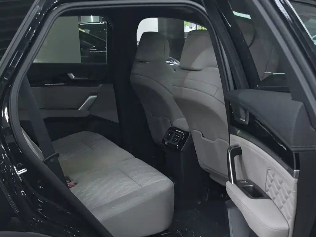 BYD Tang New Energy — миниатюра 10