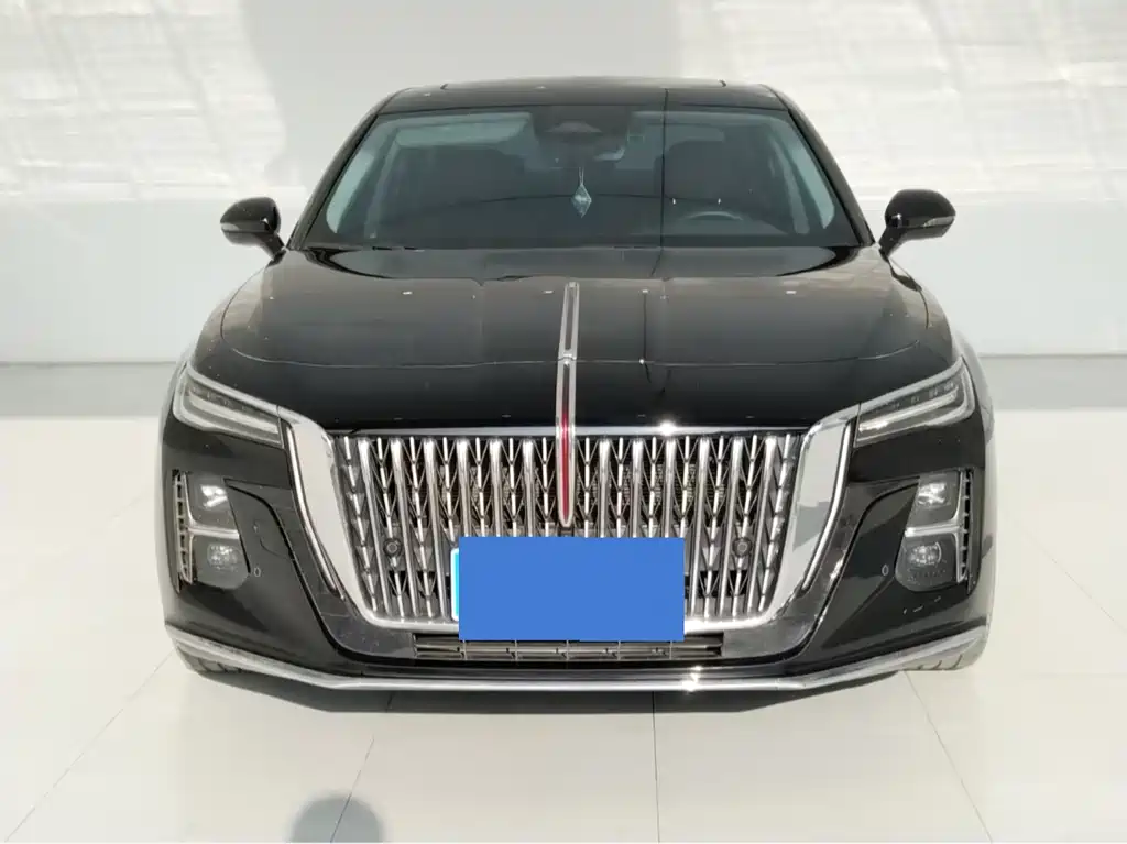 Hongqi Hongqi H5 2024
