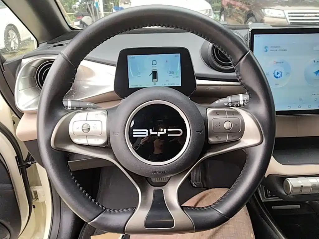 BYD Dolphin — миниатюра 11